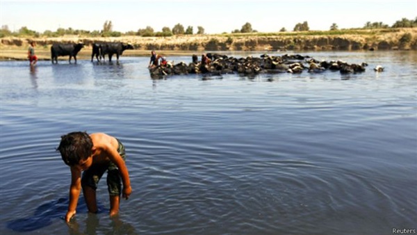 بالفيديو.. «الكوليرا» يجتاح العراق
