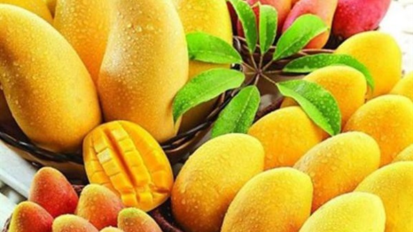 5 فوائد صحية للمانجا..تعرفى عليها 
