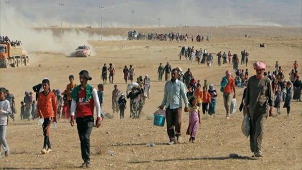 اليمن: مليون و350 الف نازح في مأرب بسبب الحرب