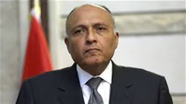 وزير الخارجية ينقل رسالة تضامن ودعم من السيسي إلى أبو مازن