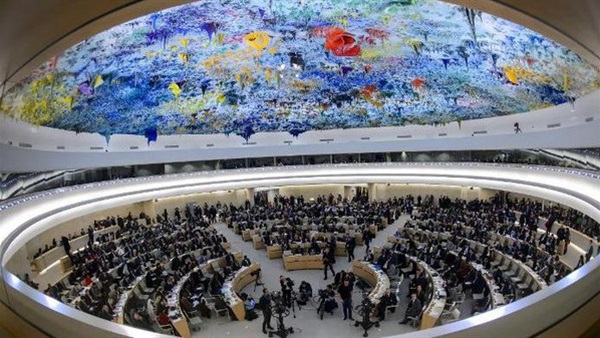 مصر تطالب حقوق الإنسان بتحمل مسئولياته في الانتهاكات بالأراضي الفلسطينية