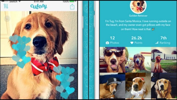 تطبيق Cutesy لاستكشاف الحيوانات المدللة على أجهزة آيفون