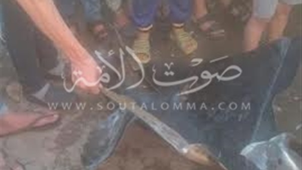 بالصور.. السيطرة علي حريق هائل بقرية «سنهور» بالفيوم 