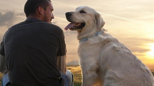 الفرنسيون لا يتعاملون بلطف مع كلابهم كما يشاع عنهم