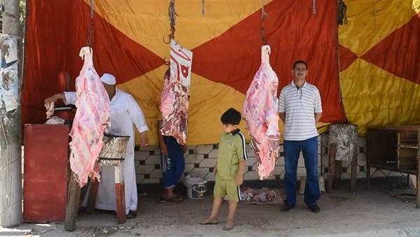 بالصور.. استمرار طرح اللحوم البلدية المدعمة بمنافذ الفيوم بسعر 65 جنيهاً للكيلو
