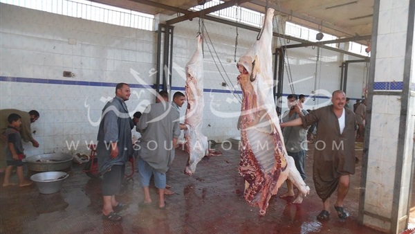 بالصور.. امتلاء مجازر كفر الشيخ باللحوم وإقبال المواطنين على شراءها 
