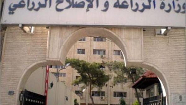 الزراعة: إزالة 258 حالة تعدٍ على الأراضي بعدد من المحافظات