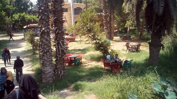بالصور.. الصحة تدفع بسيارات الاسعاف داخل «الأورمان»