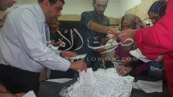المصرى لحقوق المرأة: 9 سيدات يتنافسن على 209 بالمرحلة الأولى 