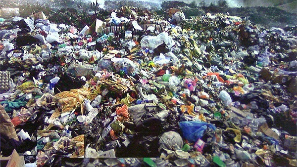 رفع 2400 طن قمامة ومخلفات من حدائق القناطر خلال احتفالات العيد بالقليوبية