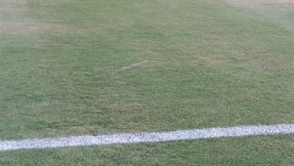 بالصور..إدارة السويس تخضع لرغبة الزمالك وتقص «النجيلة»