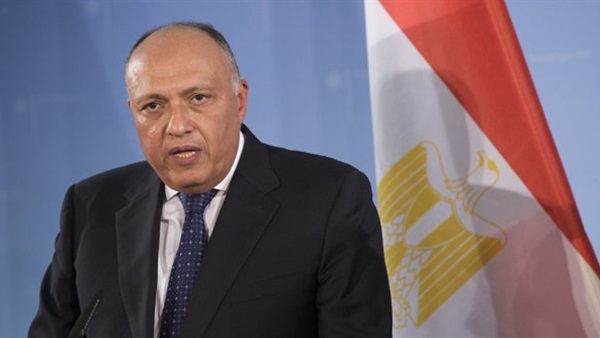 محسن: زيارة وزير الخارجية إلى اسرائيل اجراء حكومي