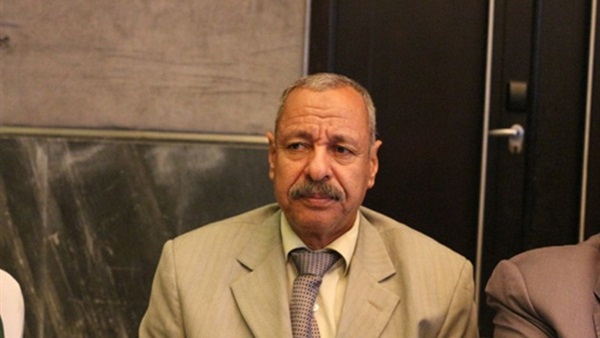 نائب الوادى الجديد: إنهاء مشكلة مياه الشرب بمدينة الخارجة 