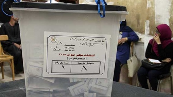 فوز«الدامى»و«عمارة»بمقعدى مجلس النواب بالبحيرة