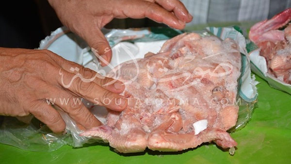 بالصور..ضبط 6 طن فراخ مجمدة غير صالحة فى سوهاج