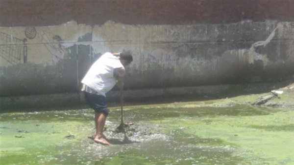 بالصور.. حل مشكلة مياه المجاري بمدرسة في المحلة