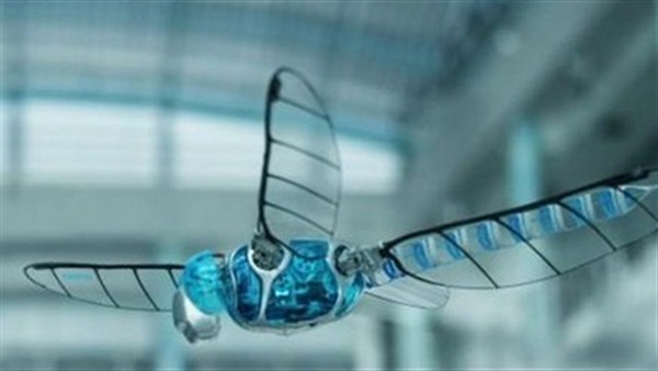 اشتعال النيران في سيدة نمساوية إثر استخدام ماده «الإيثانول» لطرد الحشرات