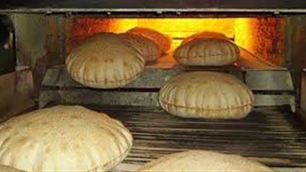 تشغيل 301 مخبز جديد بمراكز المنيا 