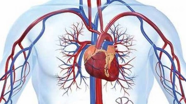 10 حقائق مذهلة عن جسم الإنسان
