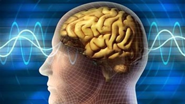 دراسة: عقل الإنسان أقل دقة وتركيزا في الشتاء