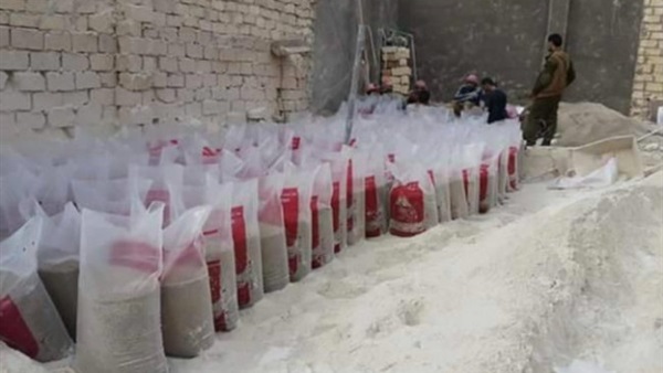 شرطة ميناء الإسكندرية تضبط شحنة مبيدات حشرية وأدوية محظورة 