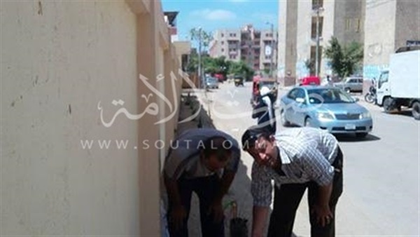 بالصور..غرس ألف شجرة بالغربية ضمن مبادرة «حلوة يا بلدي»