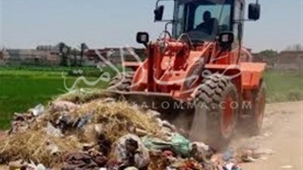 بالصور.. رفع 130 طن قمامة بمبادرة«حلوة يابلدي» ببني سويف 