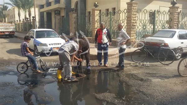 بالصور.. صيانة أعمدة الكهرباء بحي الضواحي ببورسعيد 