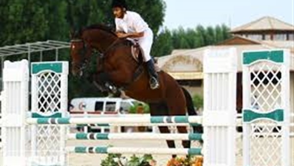 اليوم .. انطلاق مهرجان الخيول العربية بالجزيرة