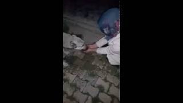بالفيديو.. «كلب» يشكر فتاة شكر قدمت له المياه
