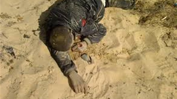 الجيش النيجيري يقتل 12 إرهابياً من بوكو حرام ويحرر 22 رهينة