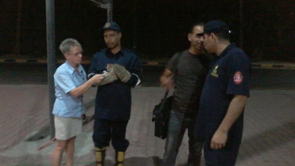 بالفيديو والصور..إنقاذ قطة صغيرة من داخل عمود إنارة فى الغردقة 