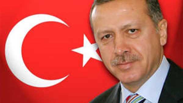 صحفي أمريكي: أردوغان صنع من نفسه سلطان العصر الحديث