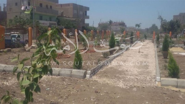 بالصور.. زراعة 304 أشجار بمبادرة «حلوة يا بلدى» بالمنوفية