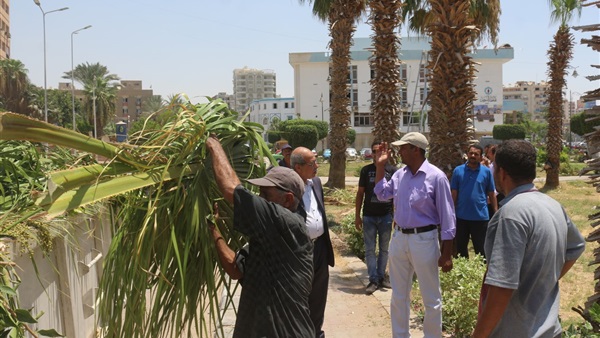 بالصور.. رفع586 طنا من الاتربة والقمامة فى«حلوة يابلدى» بالسويس