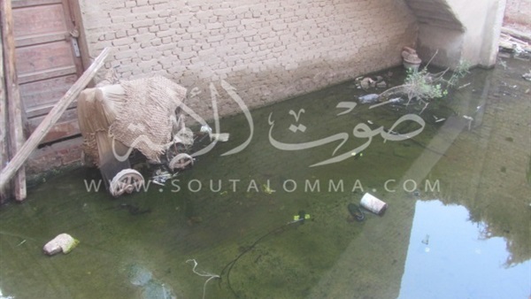 بالفيديو والصور.. الصرف الصحي يحاصر قرية «صفط النور» ببني سويف.. المياه تهدد المباني بالانهيار.. الأهالي يهاجرون منازلهم.. ويؤكدون: الشبكة متهالكة.. والمسئولين خارج الخدمة
