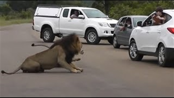 بالصورة.. «درة» تشارك جمهورها سعادتها بحفل "ياني"