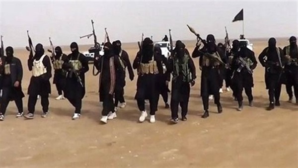 «عمارة»: الموساد محرك رئيسي للإرهاب فى سيناء 