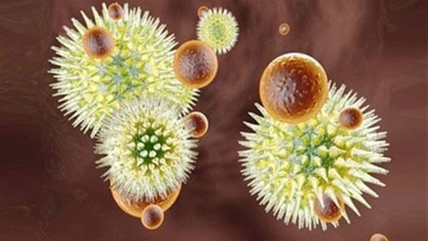 الناجون من فيروس الإيبولا في غينيا يواجهون مشاكل في الجهاز المناعي