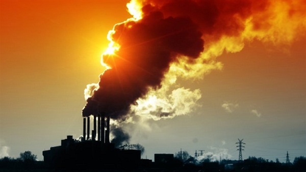 الاحتباس الحراري يهدد ثلث الحيوانات ونصف النباتات