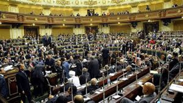 سيلفيا نبيل: «الخطة والموازنة» بالبرلمان تستمع لـ50 شركة و11 مستثمرا