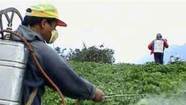 العلاقة بين المنتجات الكيماوية والأمراض التى تصيب المزارعين