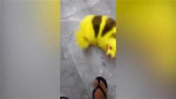 بالفيديو.. رجل يحول كلبه الشخصى  إلى "بوكيمون"