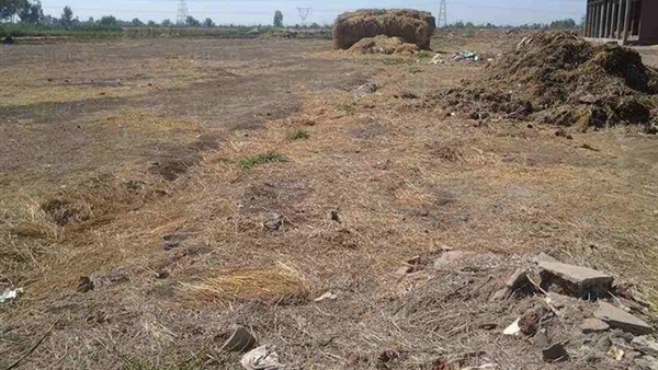بالمستندات.. حبس نقيب المهندسين بالغربية سنتين