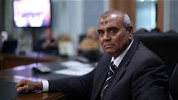نائب الوادى الجديد: معظم صعيد مصر يعيش تحت خط الفقر