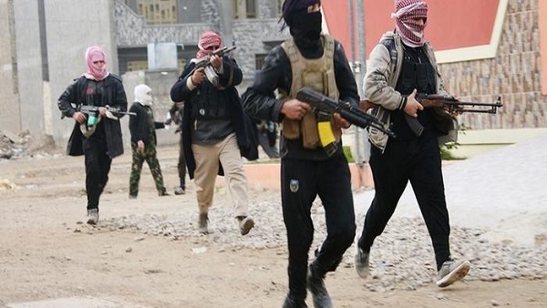 ضبط خلية إرهابية تابعة لـ «داعش» بقنا 