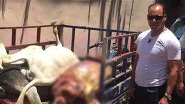 أهالى الشرقية يضبطون تاجر أثناء ذبحه حمير 