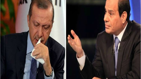 «أردوغان» يتطاول على «السيسي » 29 مرة