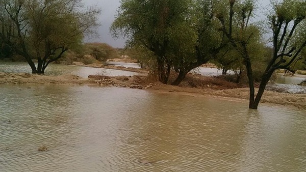 وفاة 6 يمنيين في حضرموت غرقا بسبب السيول