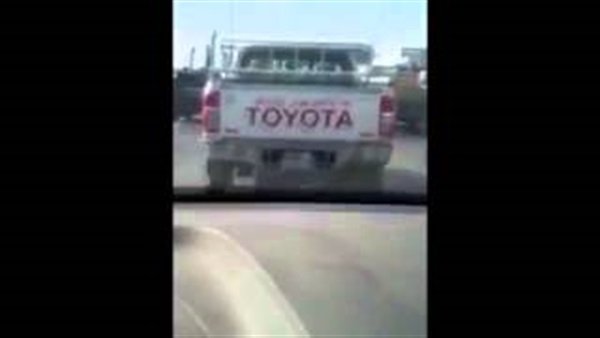 بالفيديو.. سعودي يفقد عقله بعد مشاهدته لجملة كتبها مصري